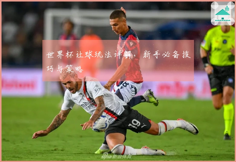 世界杯让球玩法详解，新手必备技巧与策略