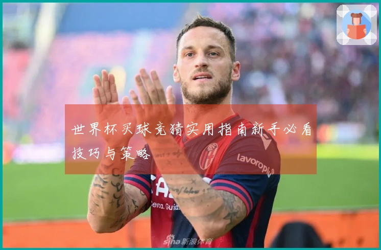 世界杯买球竞猜实用指南新手必看技巧与策略