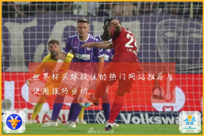世界杯买球投注的热门网站推荐与使用技巧分析