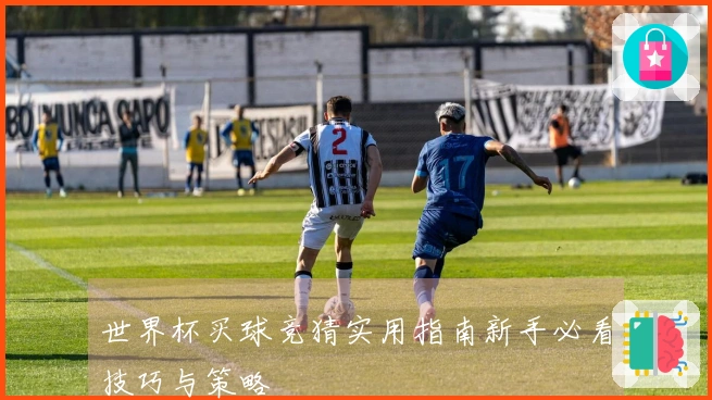 世界杯买球竞猜实用指南新手必看技巧与策略