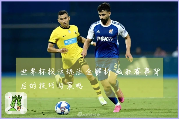 世界杯投注玩法全解析 疯狂赛事背后的技巧与策略
